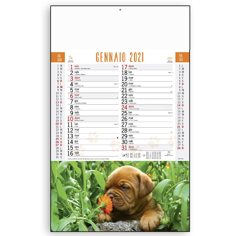 Calendario Cani e Gatti 2021